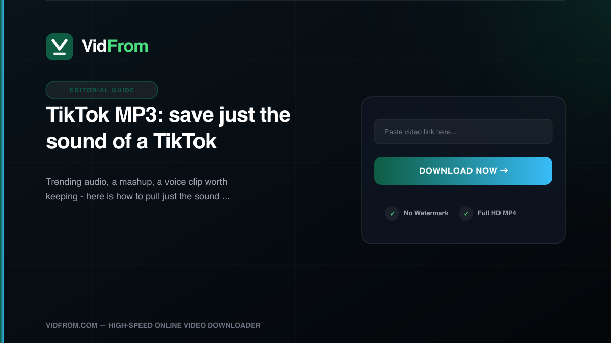 TikTok MP3: save just the sound of a TikTok