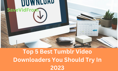 Top 5 Best Tumblr Video Downloaders You Should Try In 2023