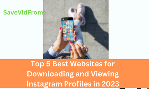 Top 5 Best Websites for Downloading and Viewing Instagram Profiles in 2023