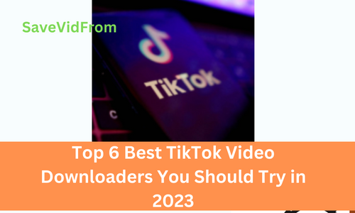 Top 6 Best TikTok Video Downloaders You Should Try in 2023
