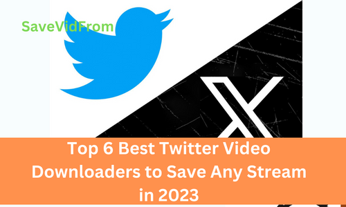 Top 6 Best Twitter Video Downloaders to Save Any Stream in 2023